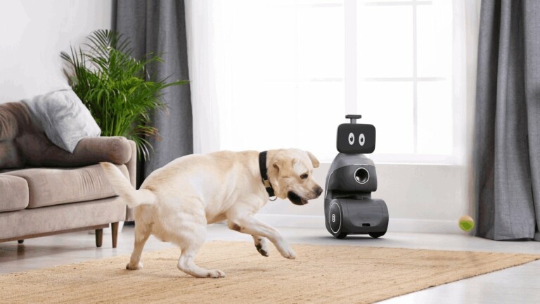 Ogmen ORo robot companion for dogs plays, manages routines, and keeps an eye on your pup