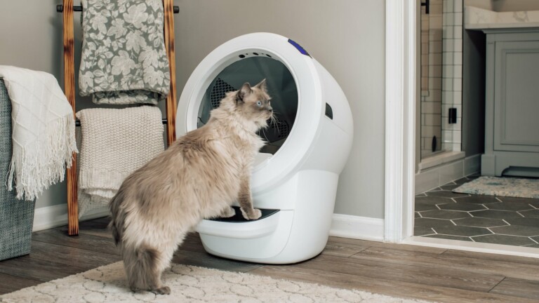 Whisker Litter-Robot 4 Wi-Fi self-cleaning litter box controls odor and monitors your pet